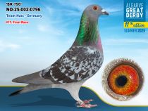 NO-25-002-0796 - HEMBRA - Team Harz