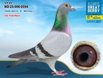 NO-25-006-0594 - HEMBRA - Team Aarra