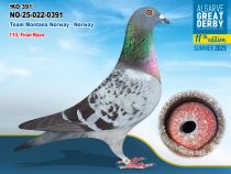 NO-25-022-0391 - MACHO -Team Montana Norway