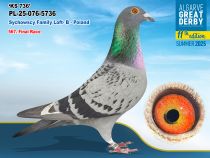 PL-25-076-5736 - MACHO - Sychowscy Family Loft