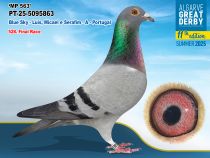 PT-25-5095863 - MACHO - Blue Sky - Luis, Micael e Serafim